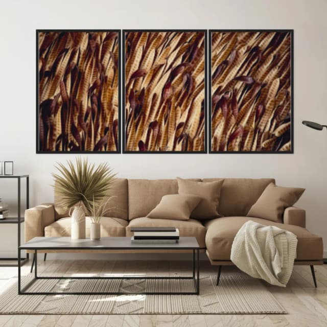 Kit Quadros Decorativos Vagem Desidratada