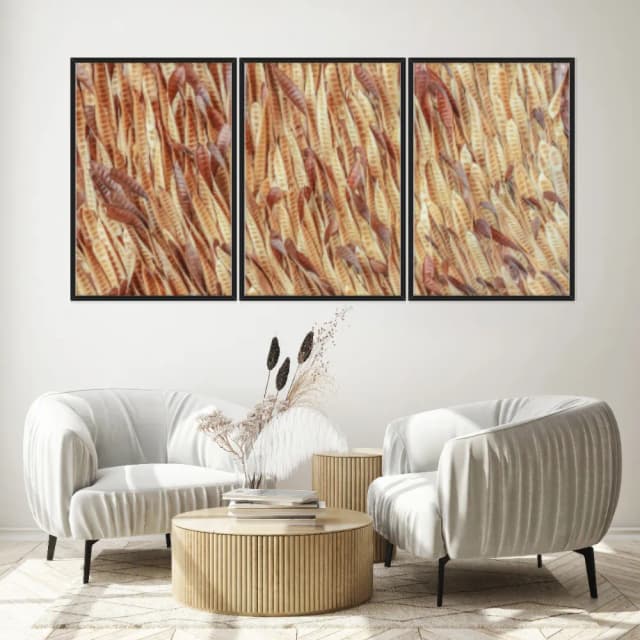 Kit Quadros Decorativos Vagem Desidratada