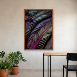 Quadro Decorativo Penas Coloridas