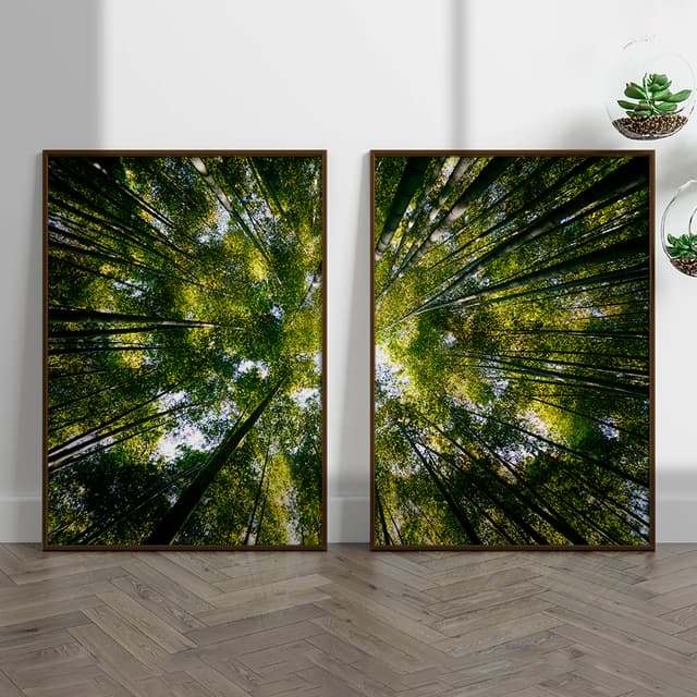 Kit Quadros Decorativos Natureza Árvores Vista