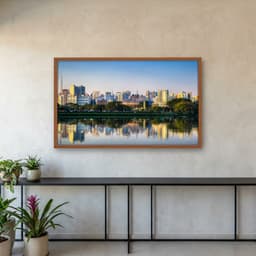 Quadro Decorativo Ibirapuera Sao Paulo